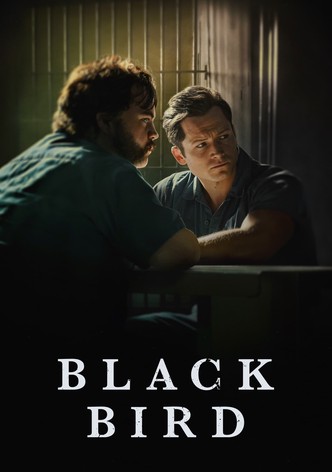 Black Bird poster