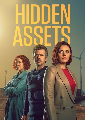 Hidden Assets poster