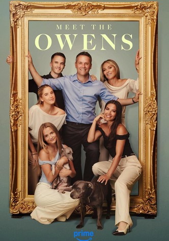 Meet the Owens poster