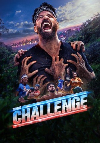 Real World/Road Rules Challenge poster
