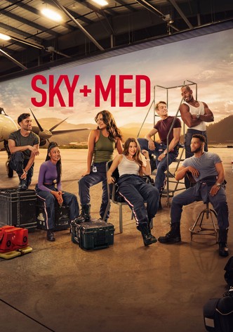 SkyMed poster