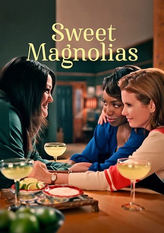 Sweet Magnolias poster