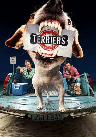 Terriers poster