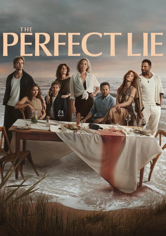 The Perfect Lie poster