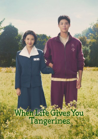 When Life Gives You Tangerines poster